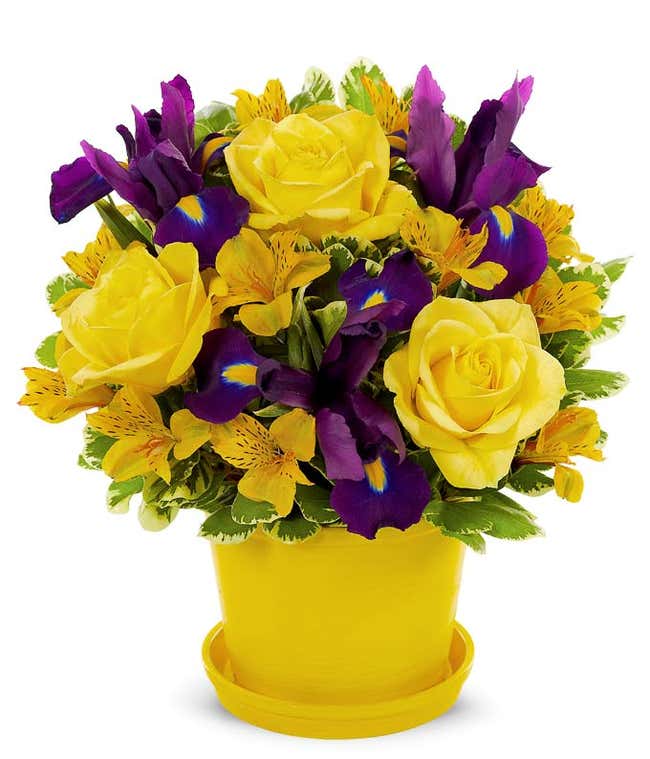 Yellow ross, blue iris and yellow alstroemeria 