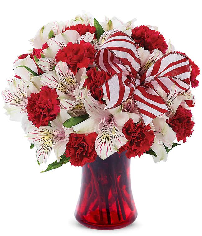 Red carnations and white alstroemeria in a red vase with holiday bow