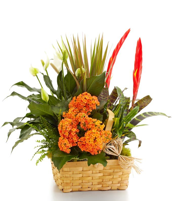 Decorative Floral Basket