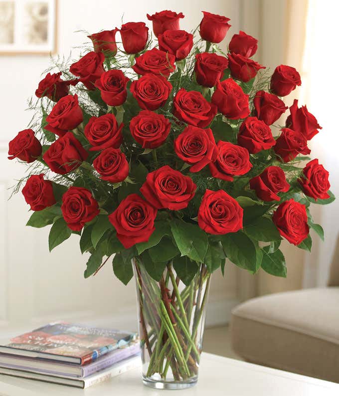 Three dozen red roses