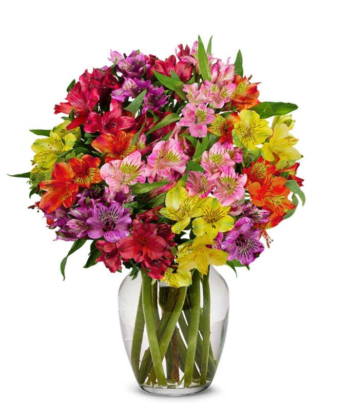 Rainbow Alstroemeria Bouquet 15 Stems