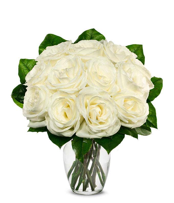 One Dozen White Roses