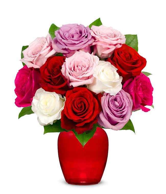 One dozen pink, red, white and purple roses for Mother's Day gift