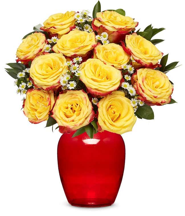 Bi-color two dozen roses