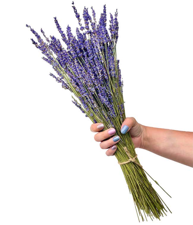 Lavender Fields Bouquet