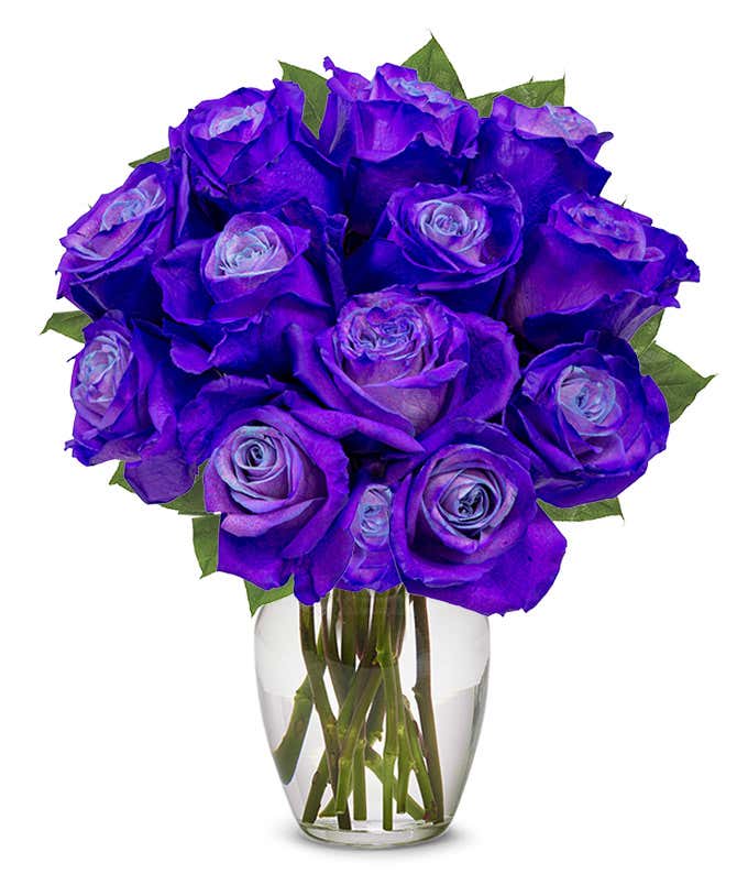 One Dozen Radiant Purple Roses